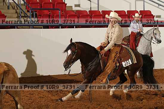 Proof 10r9_3731