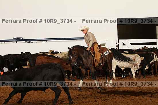 Proof 10r9_3734