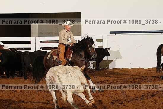 Proof 10r9_3738