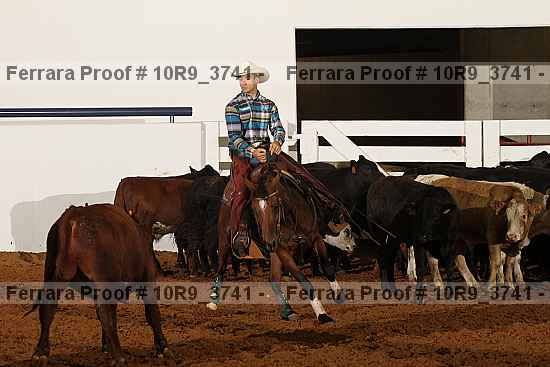 Proof 10r9_3741