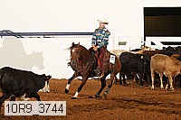 10r9_3744 proof