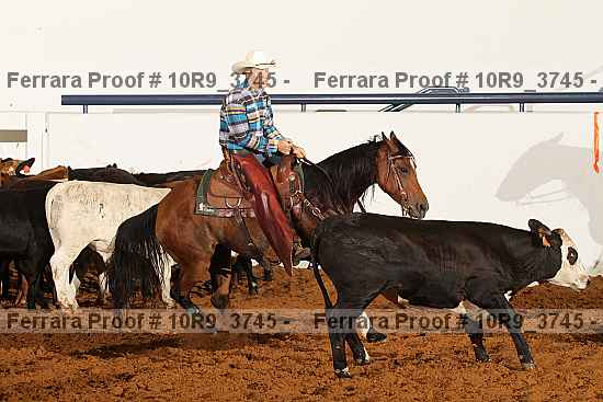 Proof 10r9_3745