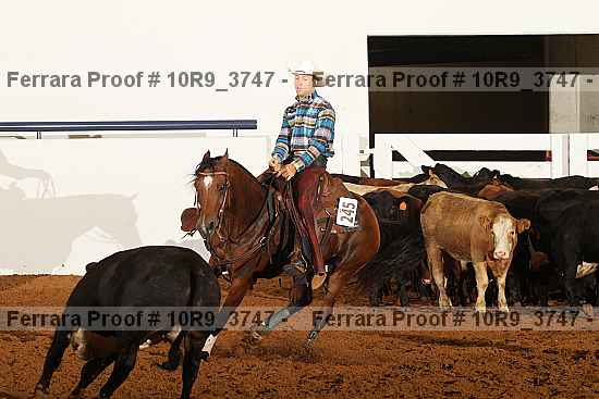 Proof 10r9_3747