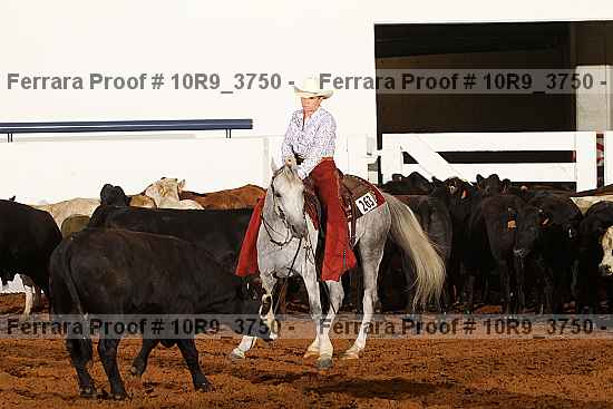 Proof 10r9_3750