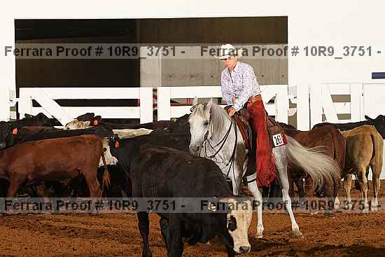 Proof 10r9_3751