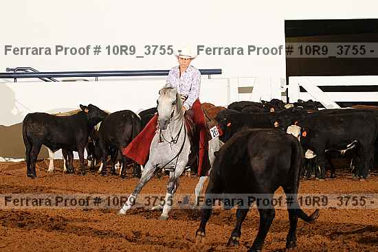 Proof 10r9_3755