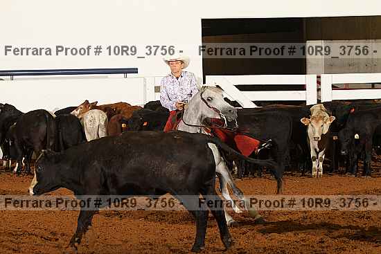 Proof 10r9_3756