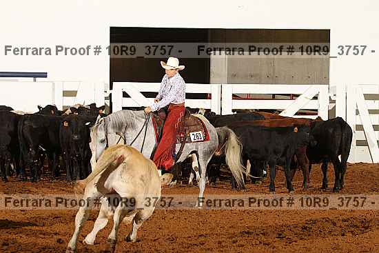 Proof 10r9_3757