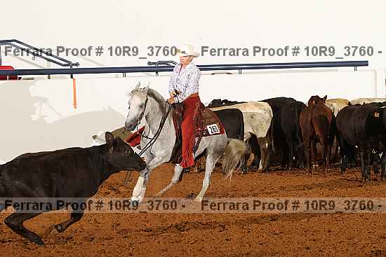 Proof 10r9_3760