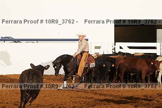 Proof 10r9_3762