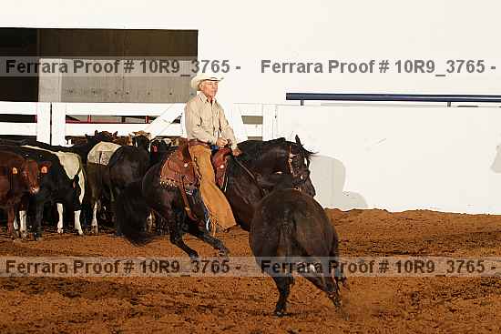 Proof 10r9_3765