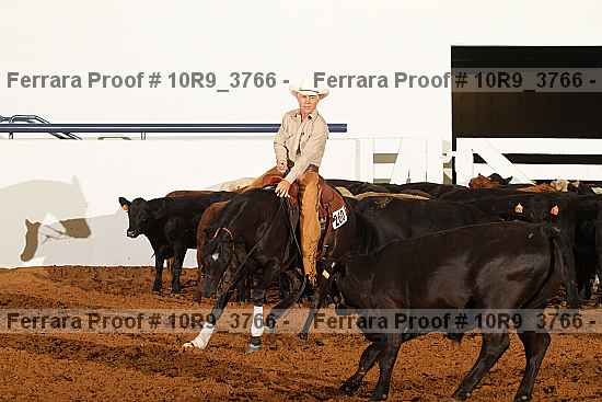 Proof 10r9_3766