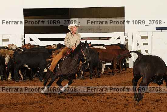 Proof 10r9_3768