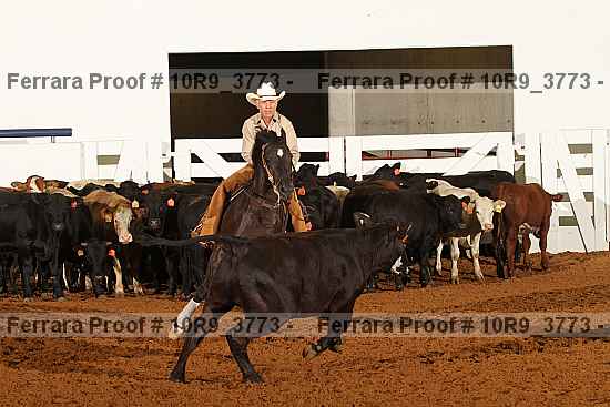 Proof 10r9_3773