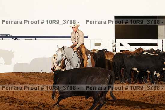 Proof 10r9_3788