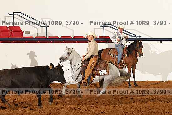Proof 10r9_3790