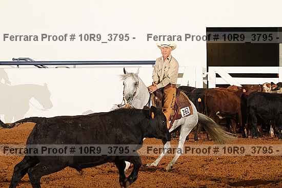 Proof 10r9_3795