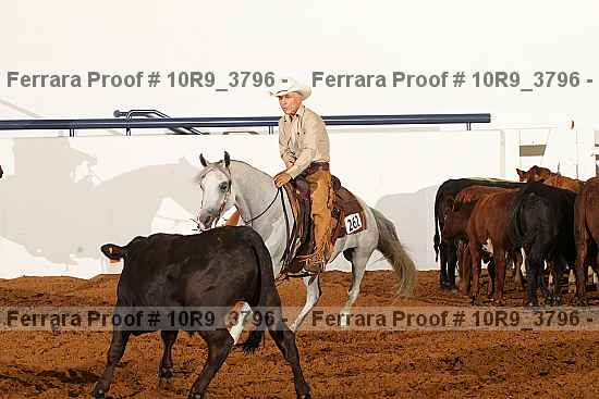 Proof 10r9_3796