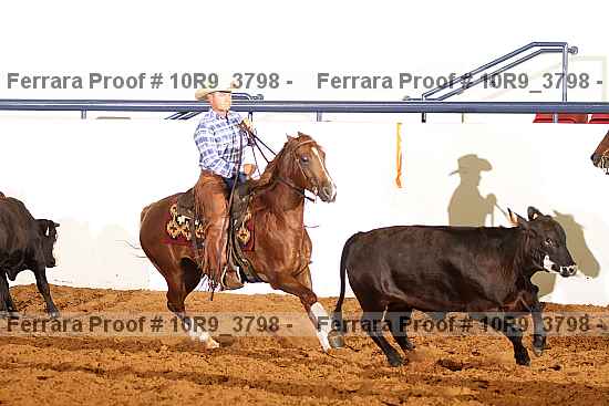 Proof 10r9_3798