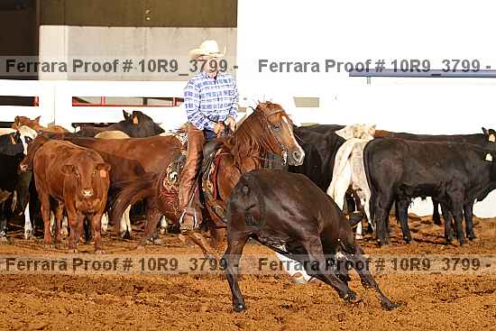 Proof 10r9_3799