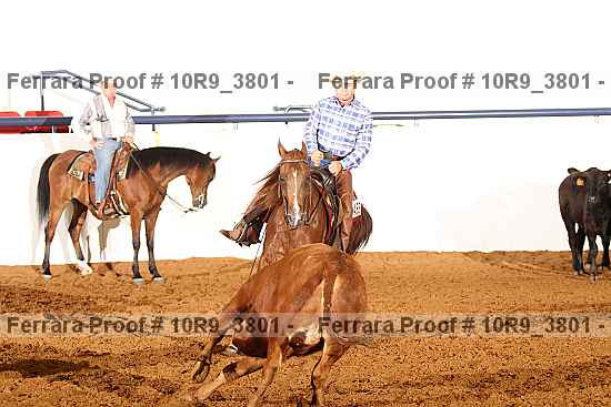 Proof 10r9_3801