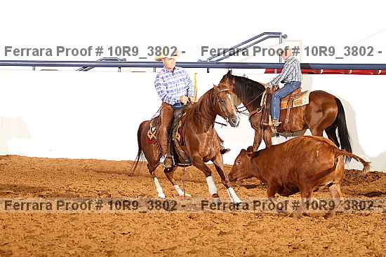 Proof 10r9_3802