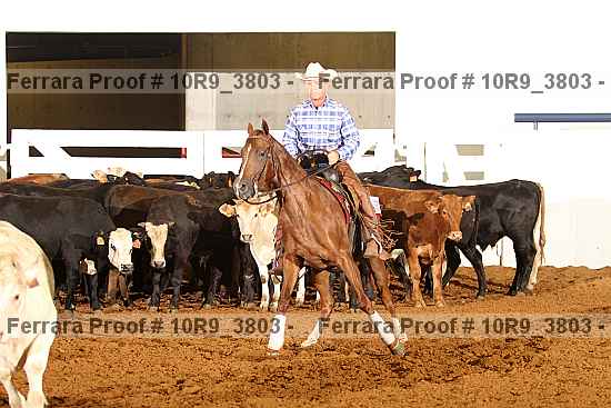 Proof 10r9_3803