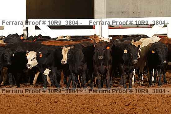 Proof 10r9_3804