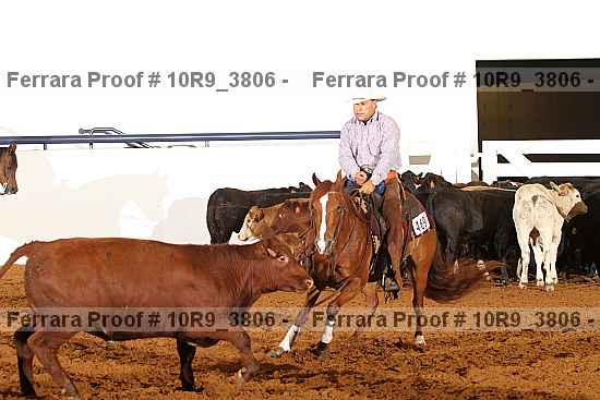 Proof 10r9_3806
