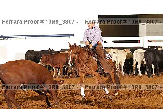 Proof 10r9_3807