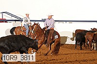 10r9_3811 proof