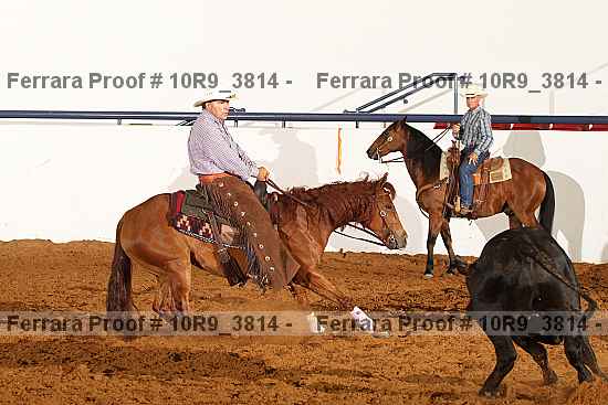Proof 10r9_3814