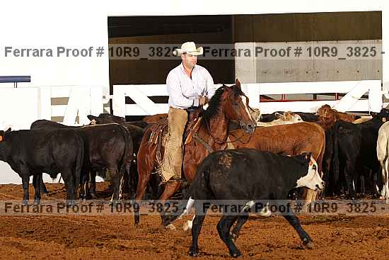 Proof 10r9_3825