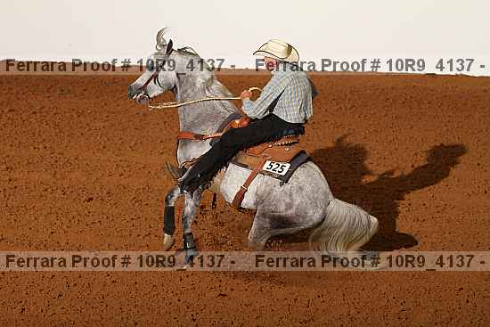 Proof 10r9_4137