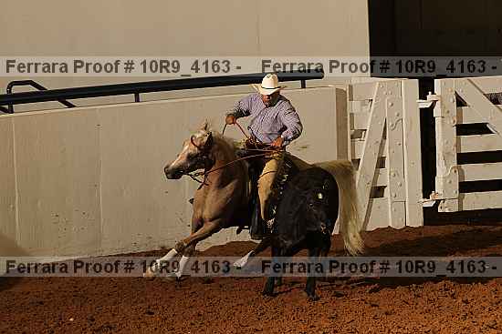 Proof 10r9_4163