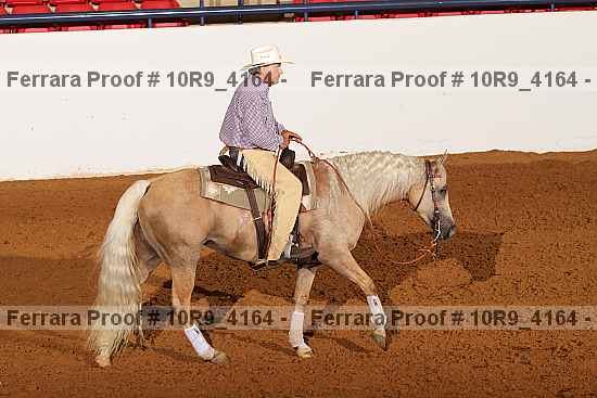 Proof 10r9_4164