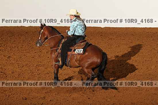 Proof 10r9_4168