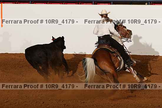 Proof 10r9_4179