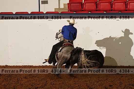 Proof 10r9_4384