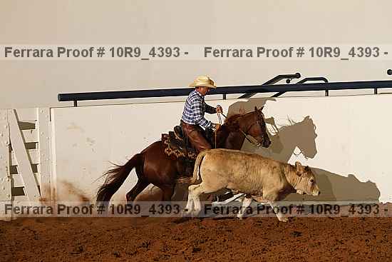 Proof 10r9_4393