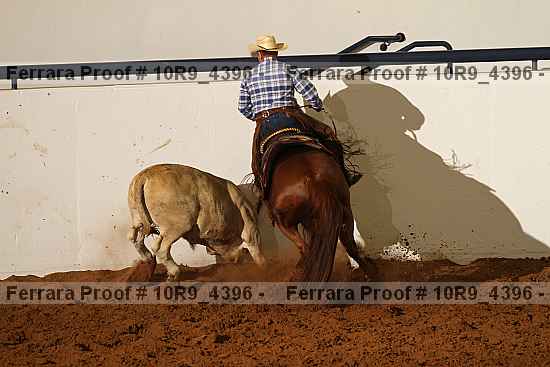 Proof 10r9_4396
