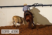 10r9_4396 proof