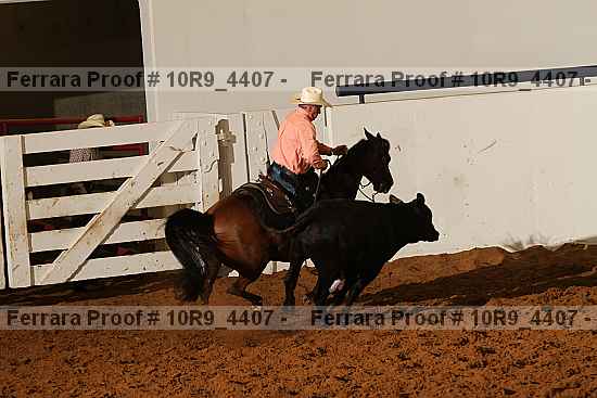 Proof 10r9_4407