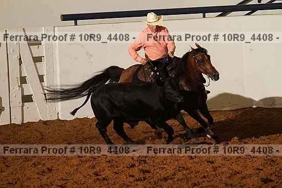 Proof 10r9_4408