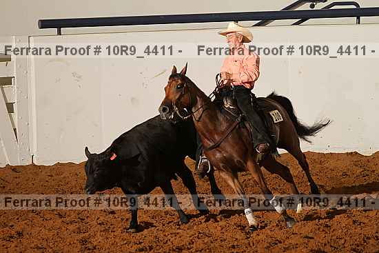 Proof 10r9_4411