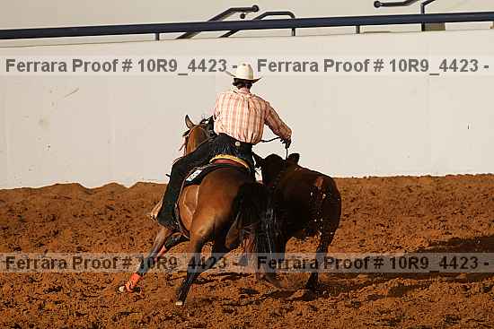 Proof 10r9_4423