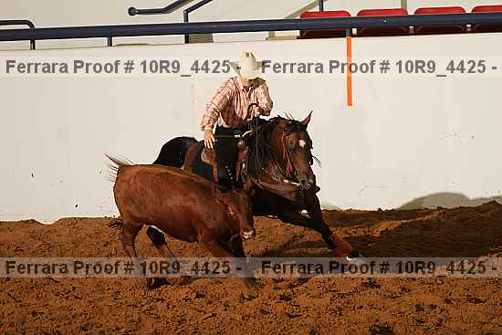 Proof 10r9_4425