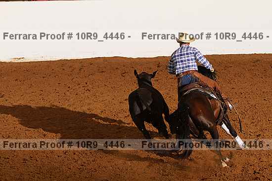 Proof 10r9_4446