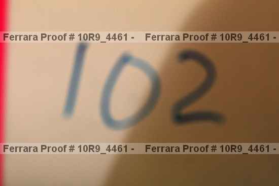 Proof 10r9_4461