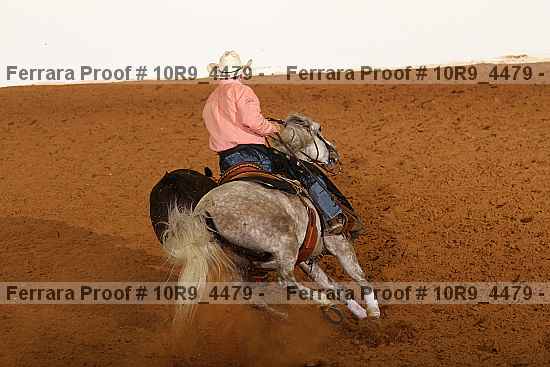 Proof 10r9_4479